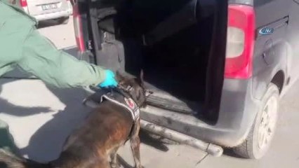 Stepneye Gizlenen Eroini 'Alfa' Ortaya Çıkardı