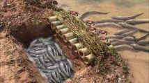 How To Make Simple Trap By Hand With Deep Hole And Bambo - Catch Fish And Crab In Simple Trap