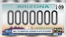 Could removing license plate stickers save the state money?