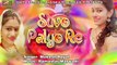 Rajasthani Superhit Holi Song | Suvo Palyo Re - FULL Song | Marwadi Fagan Song | 2018 | Chang Fagan | Desi Fagun | Gher Fagan | Shekhawati Dhamal