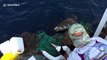 Fishermen rescue four sea animals trapped in fishing gear