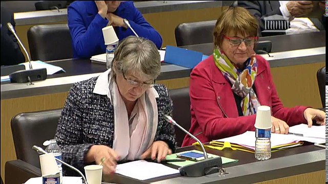 Commission des affaires économiques : Table ronde sur le réseau de recharge pour véhicules électriques - Mercredi 8 février 2017