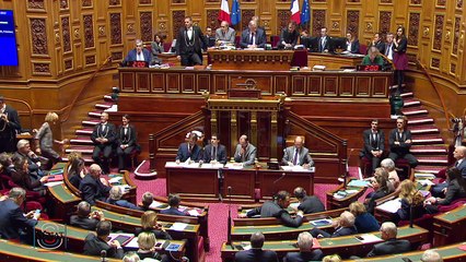 QAG - Patricia Mohret-Richaud - "Le loup est-il encore fiable en France ?"