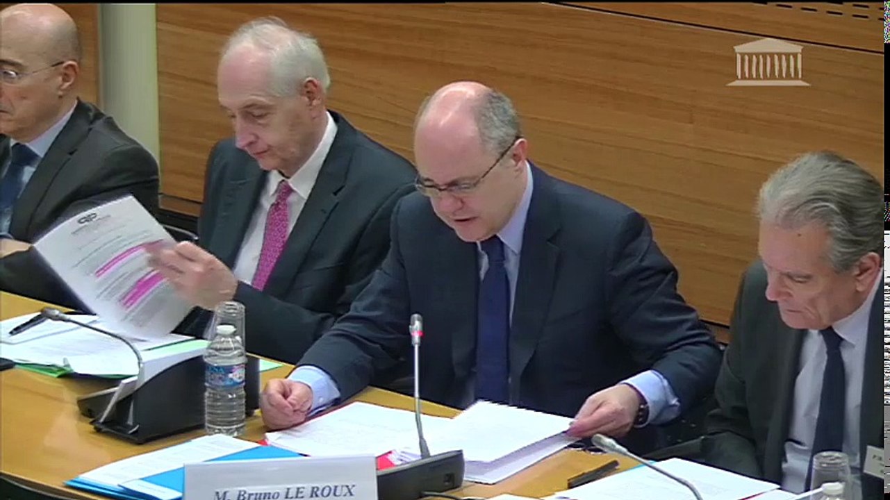 Moyens mis en oeuvre pour lutter contre le terrorisme : M. Bruno Le Roux, ministre - Vendredi 10 février 2017