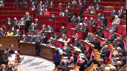 1ère séance : Hommage ; Questions au Gouvernement ; Dépôt du rapport annuel de la Cour des Comptes ; Sécurité publique (suite)  - Mercredi 8 février 2017