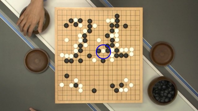 '알파고 동지' 이세돌·커제...제주서 자존심 대결 / YTN