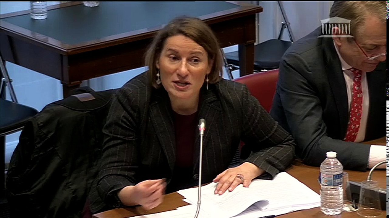 Commission des finances : M. Didier Migaud, pdt du Conseil des prélèvements obligatoires sur l'impôt sur les sociétés - Mardi 31 janvier 2017