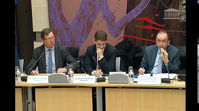 Commission des affaires économiques : Application de la loi pour l'accès au logement (ALUR) (rapport) - Mercredi 25 janvier 2017
