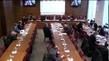 Commission des finances : M. Antoine Dulin (CESE) sur l'évitement fiscal ; M. Raoul Briet, pdt de la 1ère ch. Cour des comptes, sur la fiscalité directe locale - Mercredi 1 février 2017