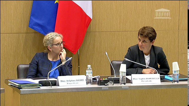 Offre automobile française : M. Gilles Le Borgne (PSA Peugeot Citroën) - Mardi 29 mars 2016