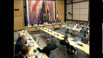 Commission des affaires économiques : M. Thomas Piquemal, ex-dir. financier d'EDF ; réglementation viticole (PPR) - Mercredi 4 mai 2016