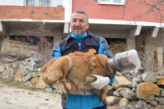 Kafasına Bidon Sıkışan Köpek İçin İtfaiye Seferber Oldu