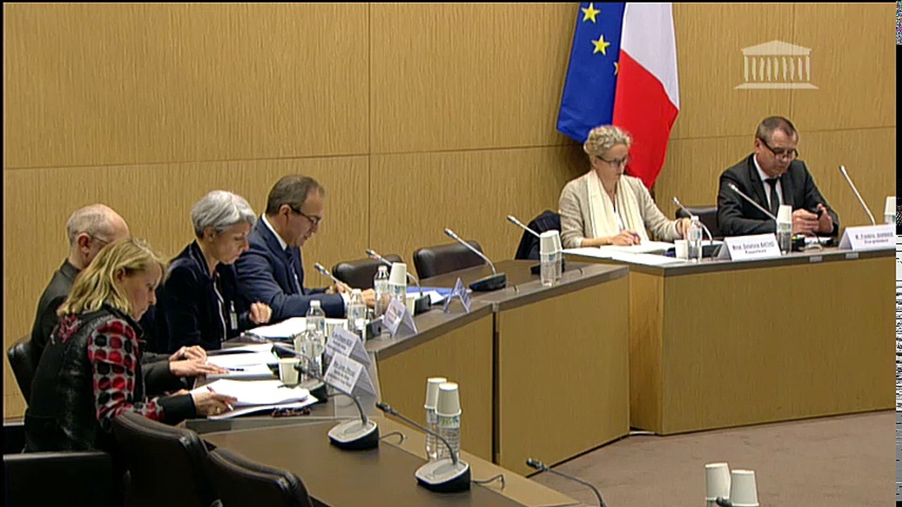 Offre automobile française : M. Gaspar Gascon Abellan (ingénierie du groupe Renault) - Mercredi 6 avril 2016