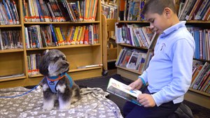 These Little Kids Are Reading To Therapy Dogs