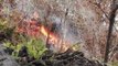 Lava Swallows Vegetation Growing on Hills in Hawaii