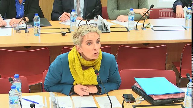 Commission d’enquête sur les décisions de l’État en matière de politique industrielle : Mme Corinne de Bilbao, pdte de GE France ; M. Henri Poupart-Lafarge, pdg d'Alstom - Jeudi 14 décembre 2017