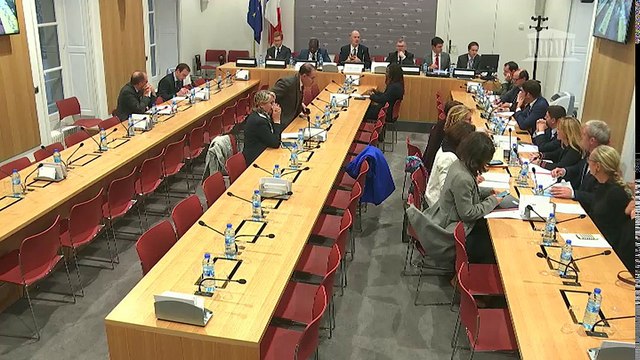 Commission des affaires économiques : organisation des jeux olympiques de 2024 (avis) - Mardi 5 décembre 2017
