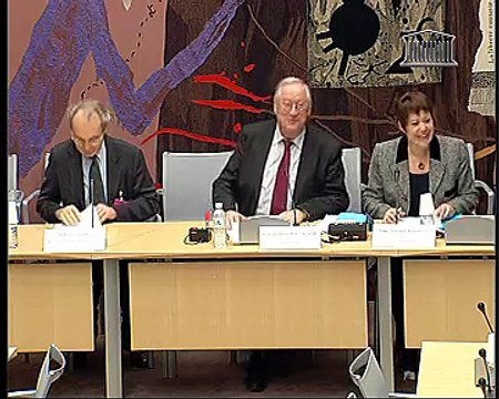 Audition de M. Yves Mény, professeur des Universités - Jeudi 13 janvier 2011