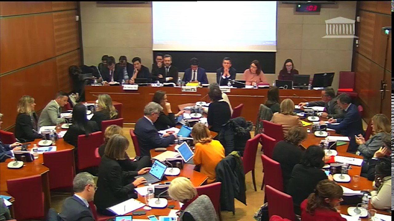 Commission des affaires culturelles : Orientation et réussite des étudiants (discussion gle et article 1) - Mardi 5 décembre 2017