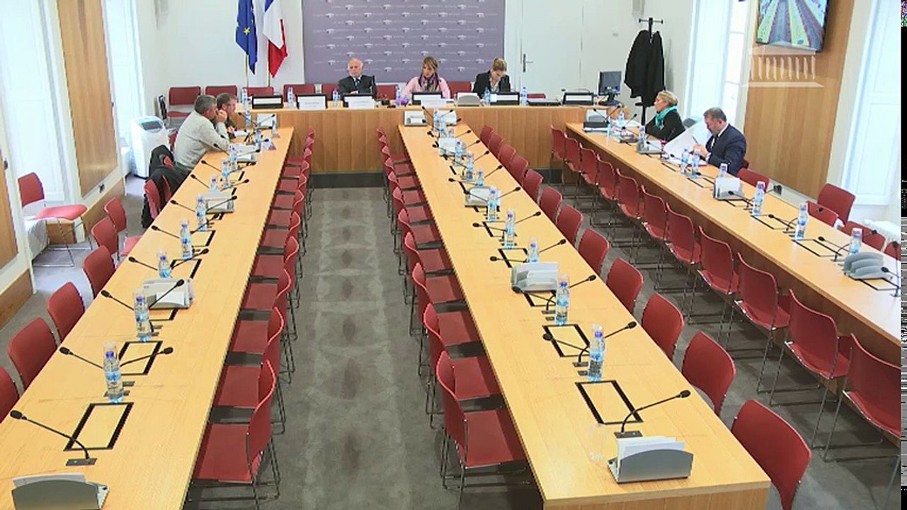 Utilisation des produits phytopharmaceutiques : M. Paul François, pdt de l'association Phyto-victimes ;  direction de la prévention des risques - Jeudi 30 novembre 2017