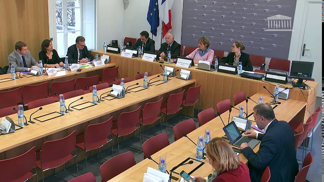 Utilisation des produits phytopharmaceutiques : M. Didier Marteau, pdt de la chambre d'agriculture de l'Aube - Jeudi 30 novembre 2017