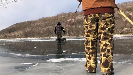 Il risque sa vie pour sauver une biche coincée sur la glace d'un lac !