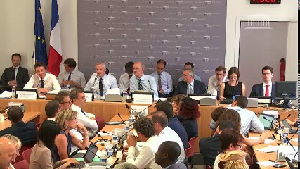 Commission des affaires économiques : MM. Bruno Le Maire et Benjamin Griveaux, ministres - Mercredi 19 juillet 2017