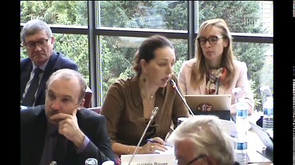 Commission des affaires étrangères : Crédits 2018 (avis) - Mercredi 25 octobre 2017