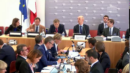 Commission des affaires économiques : M. Martin Vial, commissaire aux participations de l’État - Mercredi 18 octobre 2017