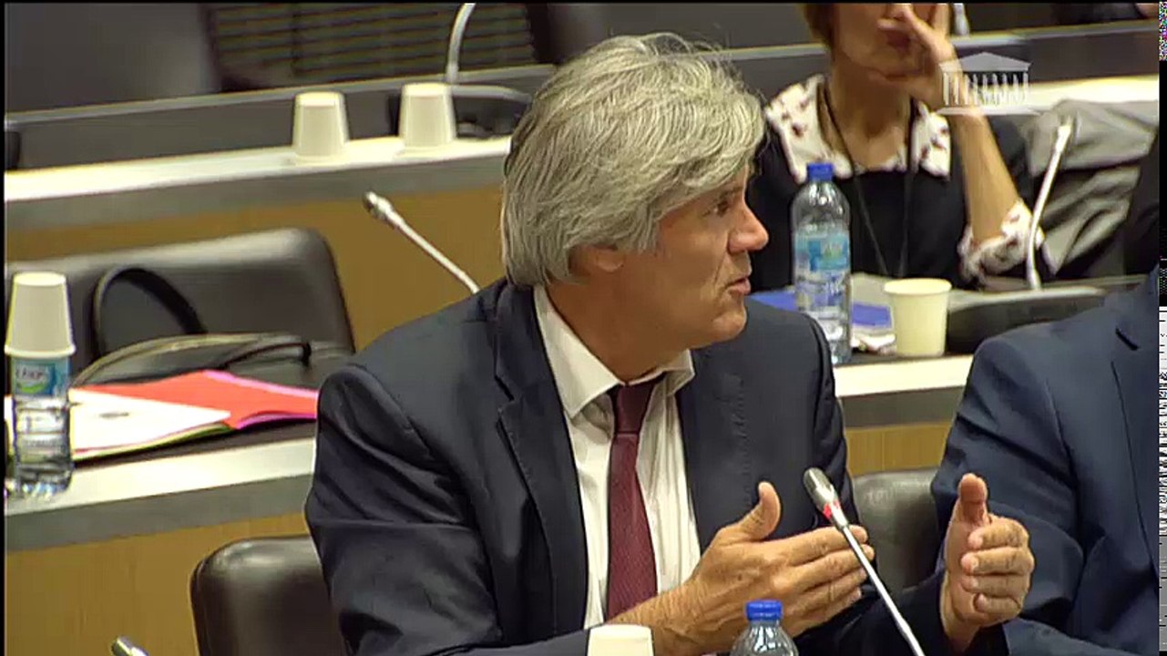 Commission du développement durable : Fondation pour la Nature et l’Homme et l’Institut Veblen ( Enjeux du CETA) ; Audition de Mme Katheline Schubert, pdte de la Commission chargée d’étudier l’impact du CETA  - Mardi 10 octobre 2017