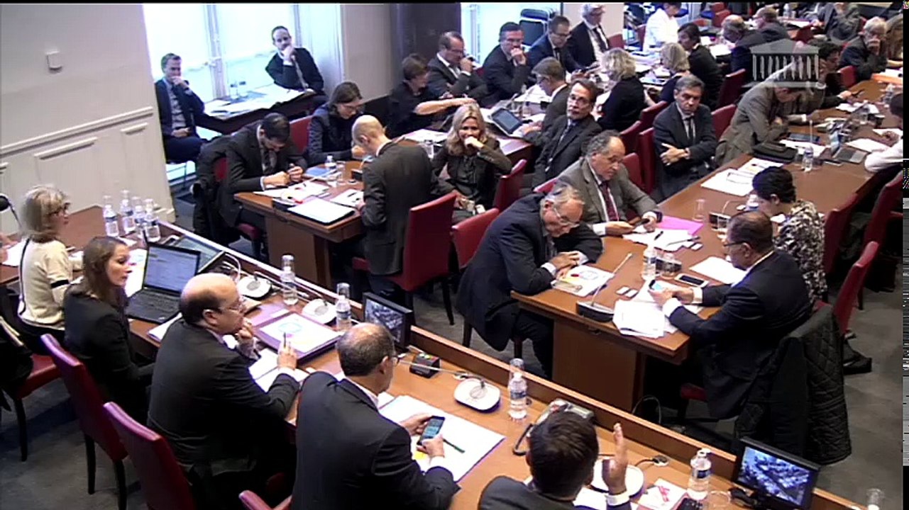 Commission des finances : M. Nicolas Dufourcq, dg de BPI-Groupe - Mercredi 20 septembre 2017