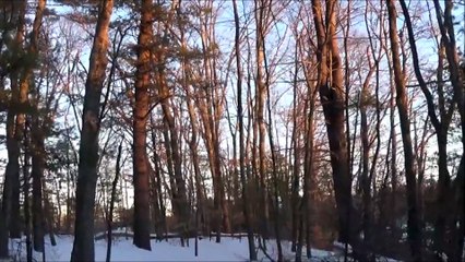 A Serene Sunset Hike to a Frozen Pond