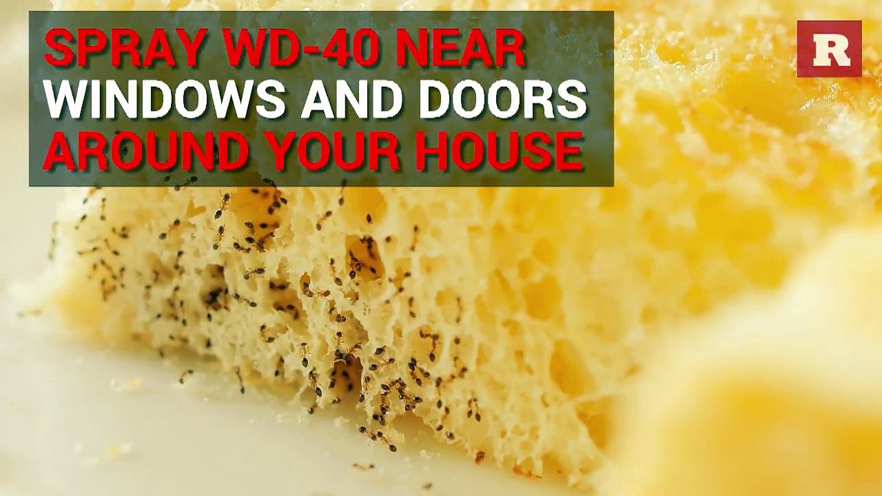 Helpful everyday household uses for WD-40 | Rare Life