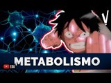 METABOLISMO │Ciências da Natureza