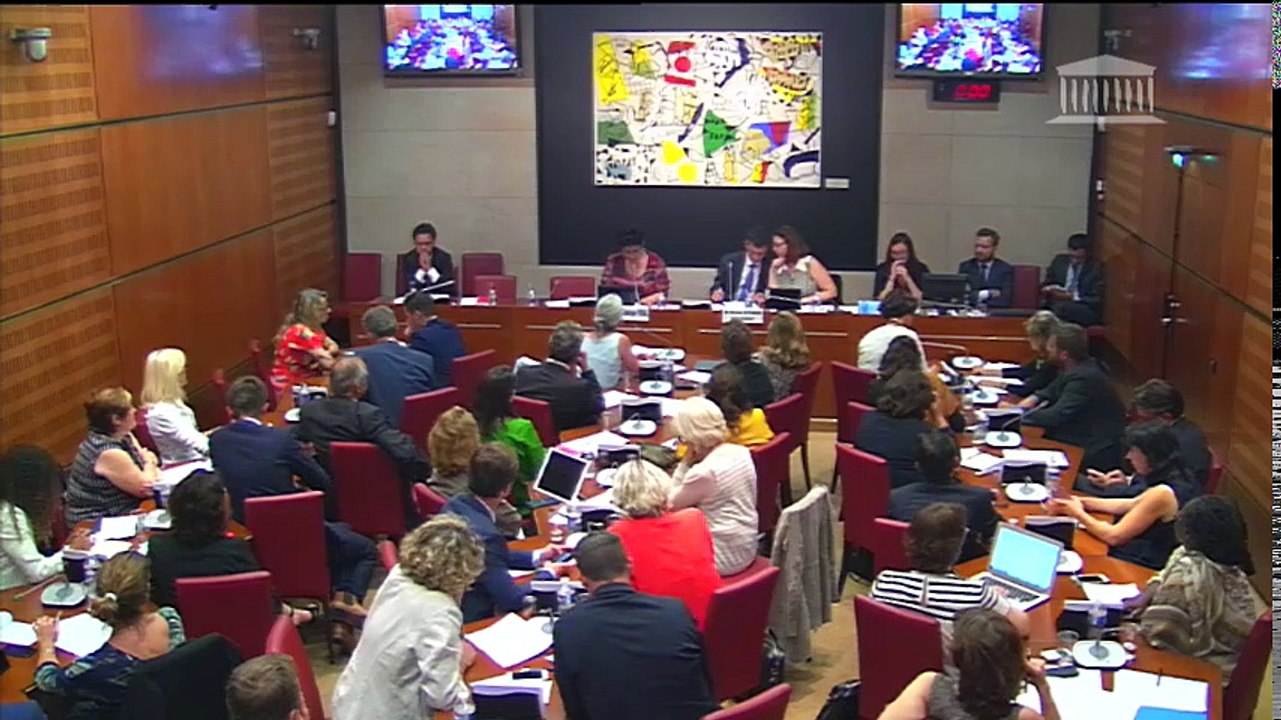 Commission des affaires culturelles : Mme Frédérique Vidal, ministre  de l'enseignement supérieur - Mercredi 19 juillet 2017