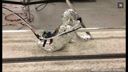 Ce bébé robot permet d’étudier la quantité de bactéries que respirent les enfants