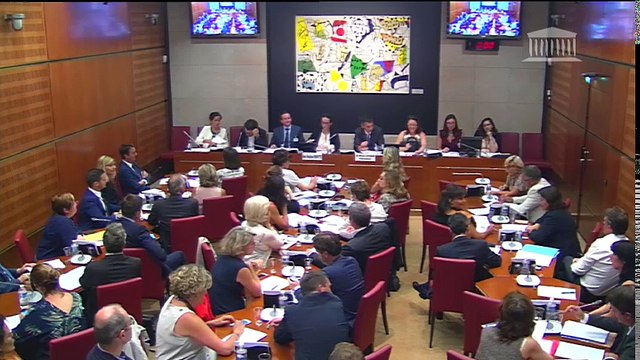 Commission des affaires culturelles : Mme Delphine Ernotte, pdte de France Télévisions - Mercredi 19 juillet 2017