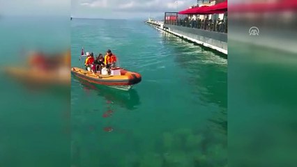 Kuşadası'nda iskele altına sıkışan kediyi dalgıçlar kurtardı - AYDIN