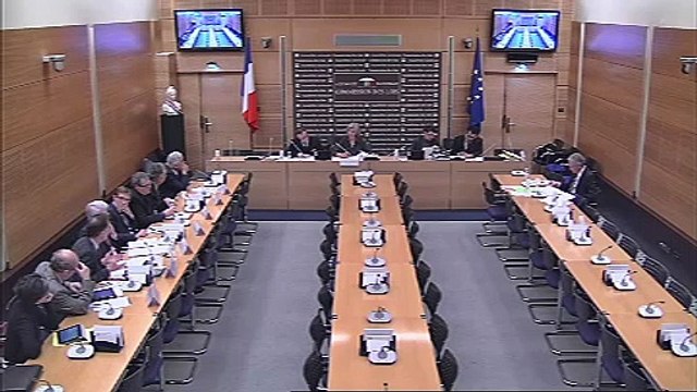 Audition des représentants des chambres de commerce, d'agriculture et de l'artisanat - Jeudi 7 février 2013