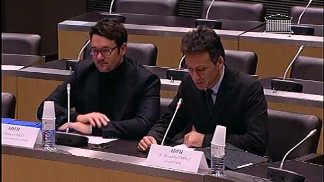 Audition de l'Association des Familles Homoparentales - Jeudi 6 décembre 2012