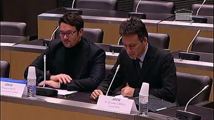 Audition de l'Association des Familles Homoparentales - Jeudi 6 décembre 2012