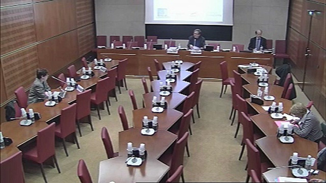 Audition de Mme Marion Leboyer, resp. pôle psychiatrie Henri Mondor - Jeudi 7 février 2013