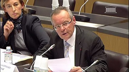 Audition de l'Union nationale des associations familiales (UNAF) - Jeudi 22 novembre 2012