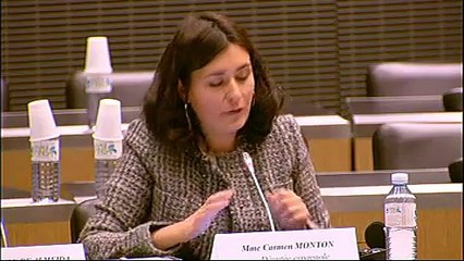 Table ronde avec des parlementaires étrangers - Mercredi 12 décembre 2012