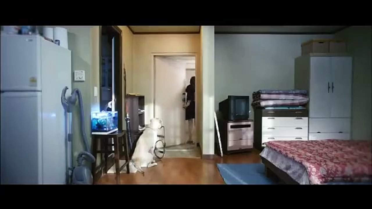 Blind 1-2