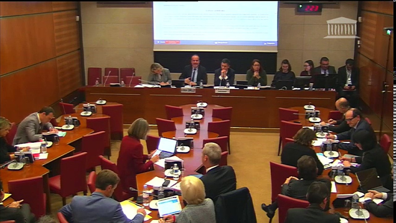 Commission des affaires culturelles : Taxe sur les transferts de sportifs professionnels (PPL) - Mercredi 29 novembre 2017