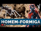 HOMEM-FORMIGA | CIÊNCIAS DA NATUREZA