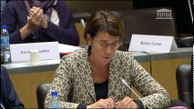 Commission des affaires étrangères : M. Nicolas Hulot, ministre - Mardi 21 novembre 2017