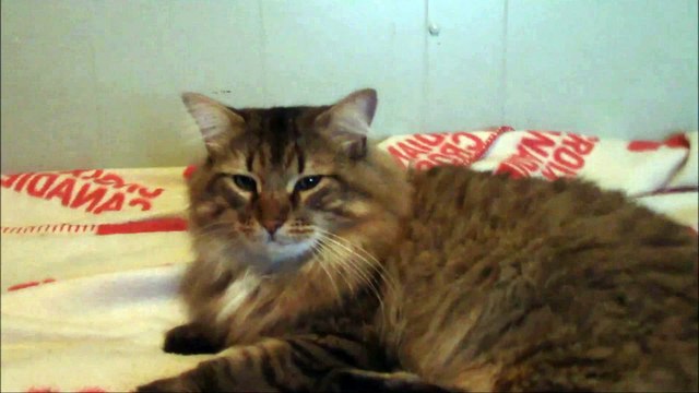 RMG Rebooted EP 83 Halloween Special 6 Layers Of Fear PS4 Game Review Part Three