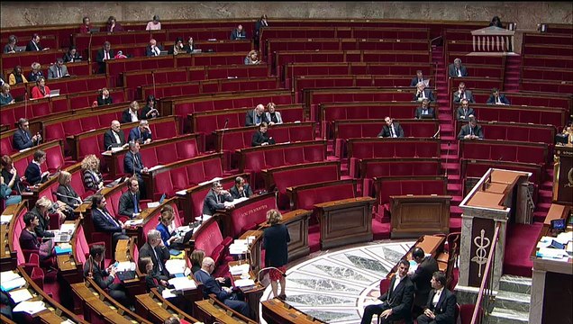 2ème séance : Ratification des ordonnances pour le renforcement du dialogue social - Mercredi 22 novembre 2017
